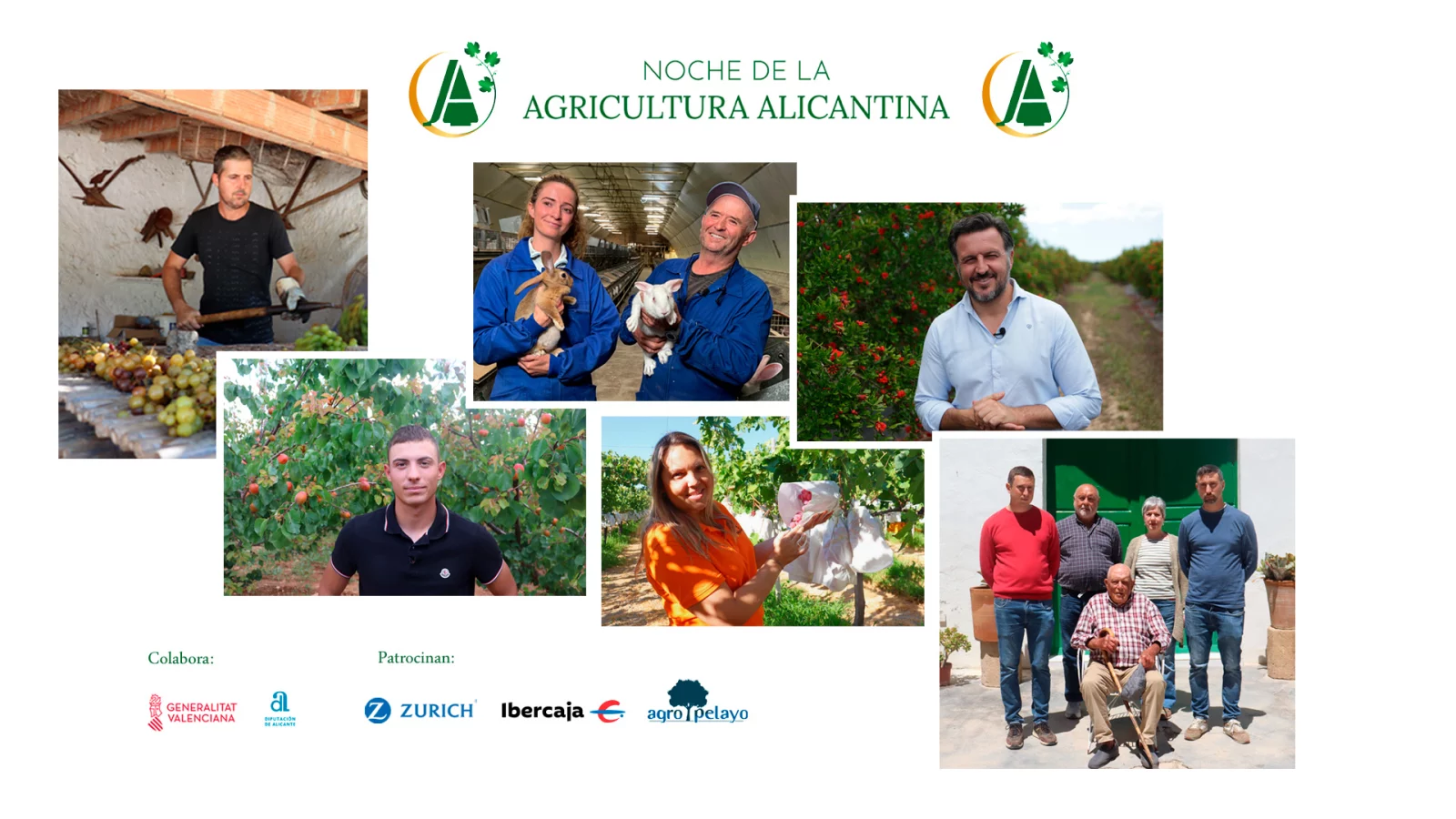 ASAJA Alicante reconocerá seis iniciativas agrarias destacadas durante la XVI edición de sus Premios en la Noche de la Agricultura Alicantina