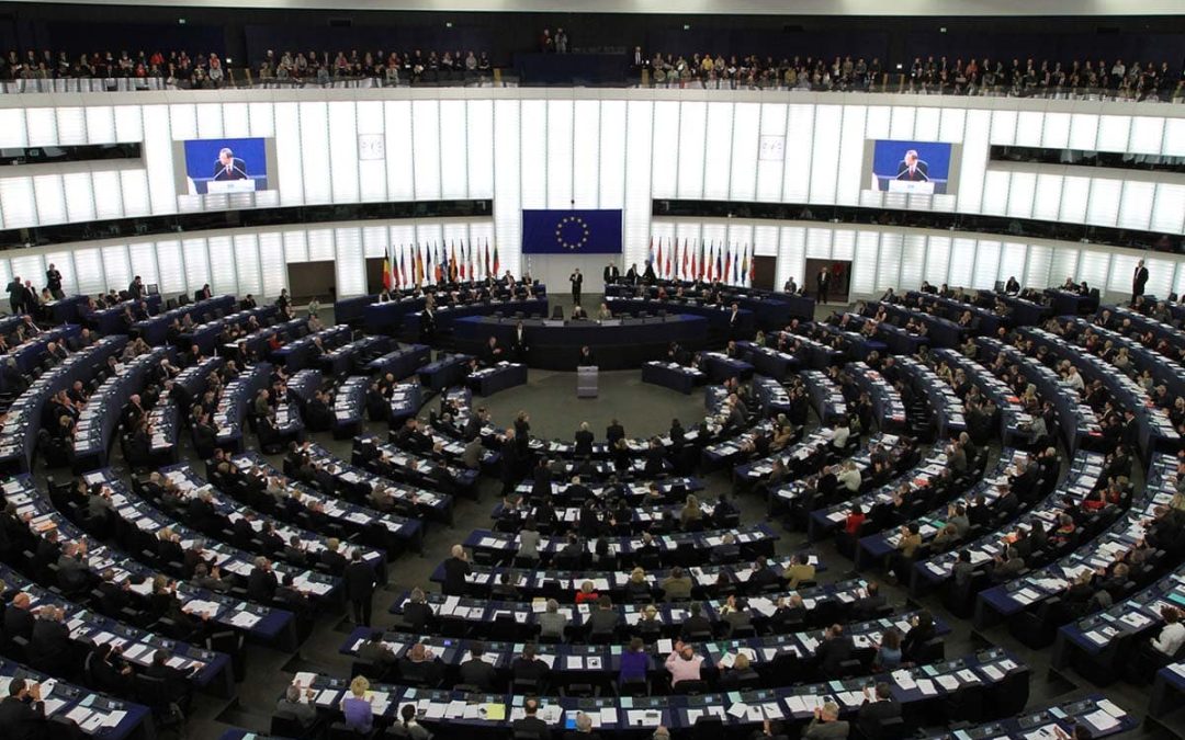 ASAJA Alicante denuncia el golpe del Parlamento Europeo al campo español al rechazar el etiquetado de origen del Sáhara Occidental y recuerda la plena vigencia de las sentencias del TJUE