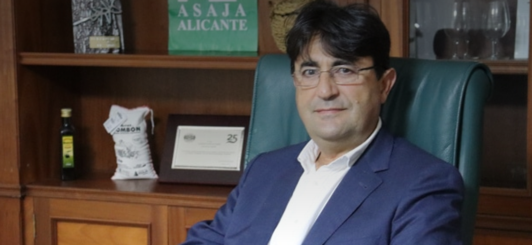 ALICANTE NO SE SECA SOLA