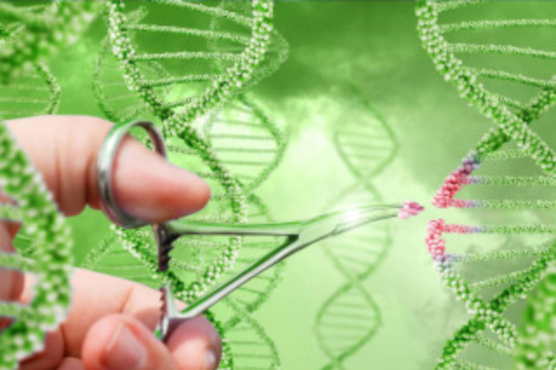 Las nuevas técnicas genómicas avanzan: la UE alcanza un consenso histórico sobre soluciones para la agricultura europea