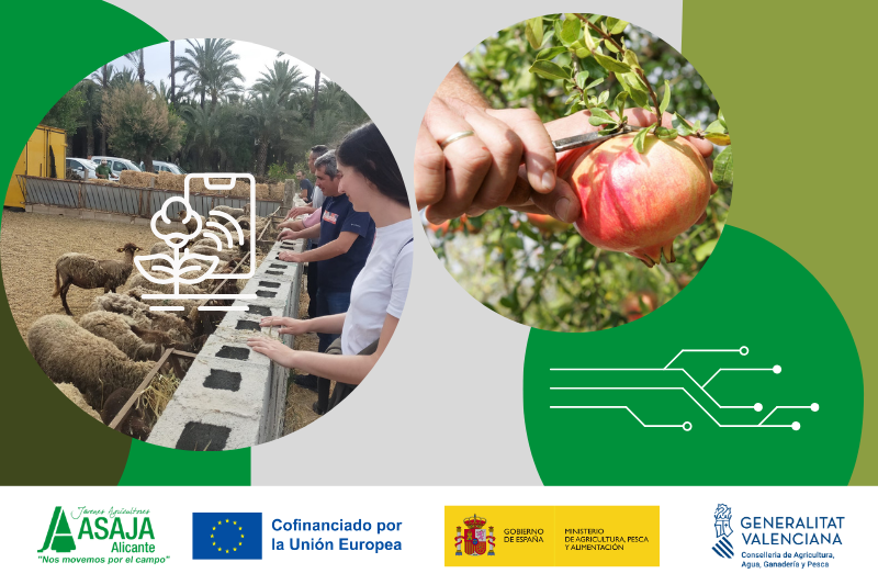 Visita Técnica Agraria (presencial) GRATUITO