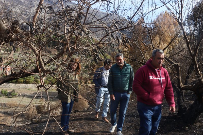 ASAJA califica de insuficientes las ayudas del Gobierno a los afectados por los incendios