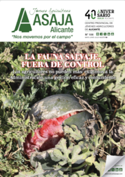 Revista 87