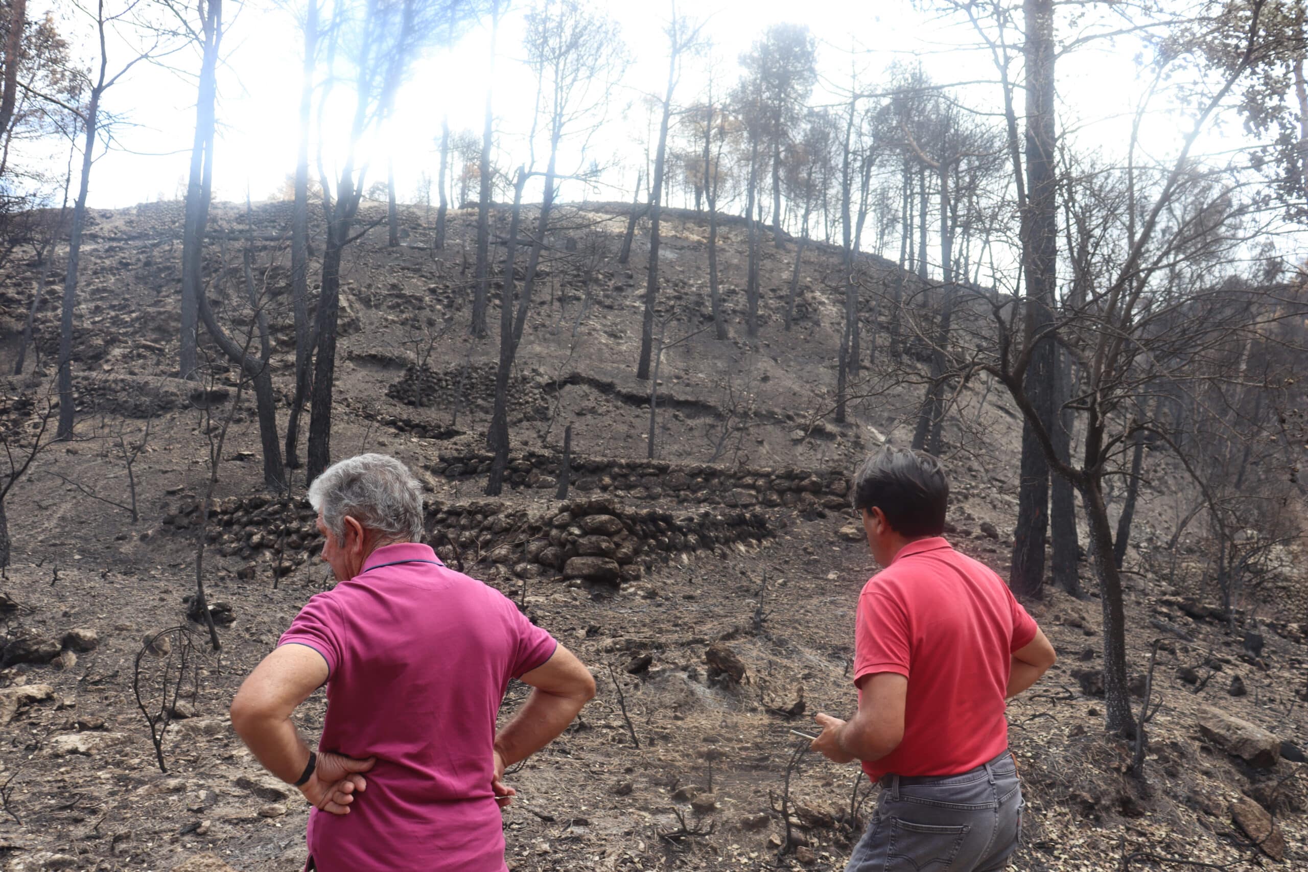 Asaja destaca el papel clave de agricultores y ganaderos en la lucha contra los incendios y demanda un cambio en las políticas forestales