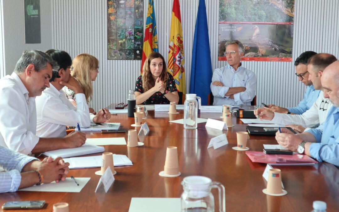 ASAJA denuncia que el Gobierno haya dejado fuera de las ayudas de la cereza a los productores de Alicante