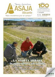 Revista 87
