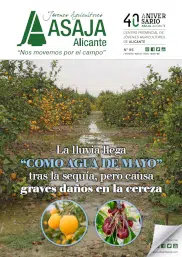 Revista 87