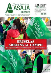 Revista 87
