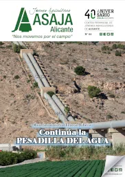Revista 87