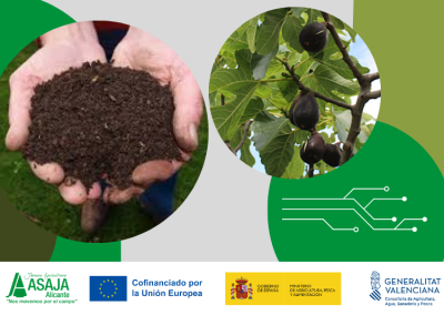 Sostenibilidad en la Agricultura Mediterránea (presencial) GRATUITO