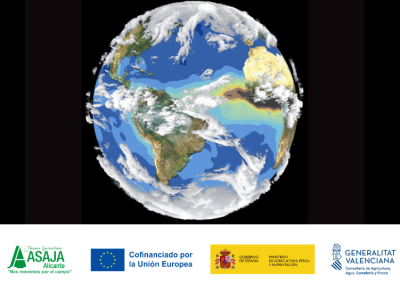 Adaptación al Cambio Climático (100% Online)