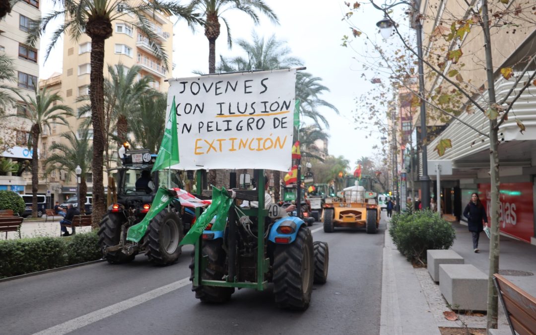 ASAJA Alicante urge aumentar el presupuesto de las ayudas de primera instalación para no excluir a ningún joven de la provincia