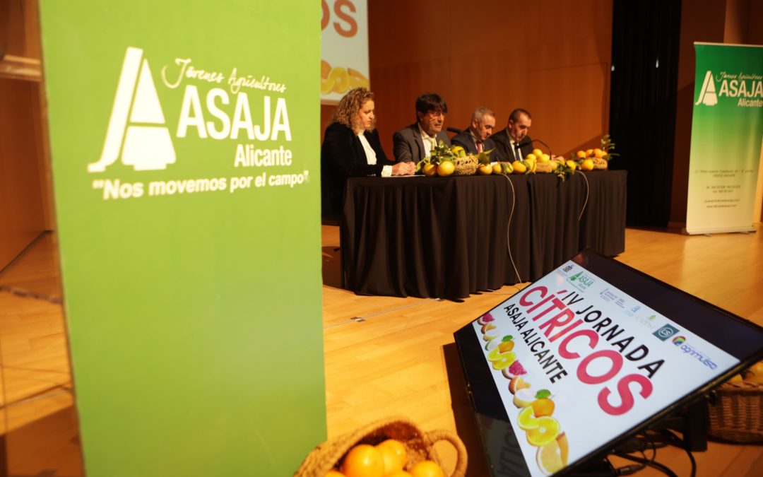 ASAJA Alicante reivindica rentabilidad, investigación y agua como pilares del futuro citrícola alicantino