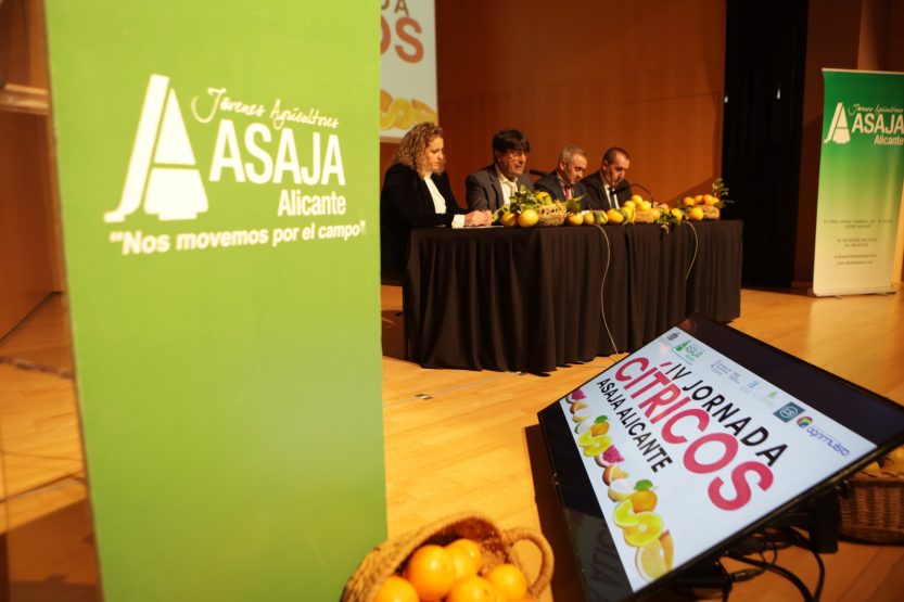 ASAJA Alicante reivindica rentabilidad, investigación y agua como pilares del futuro citrícola alicantino