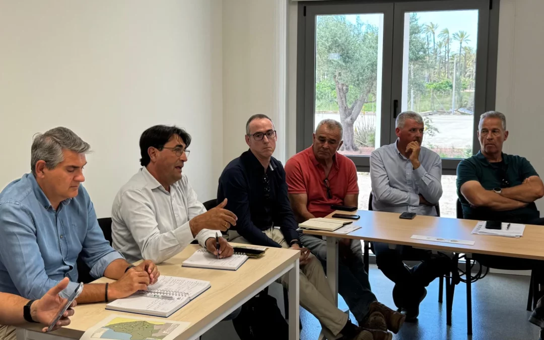 ASAJA Alicante pide agilidad en la toma de muestras en las en las explotaciones de cítricos susceptibles del virus de la clorosis 