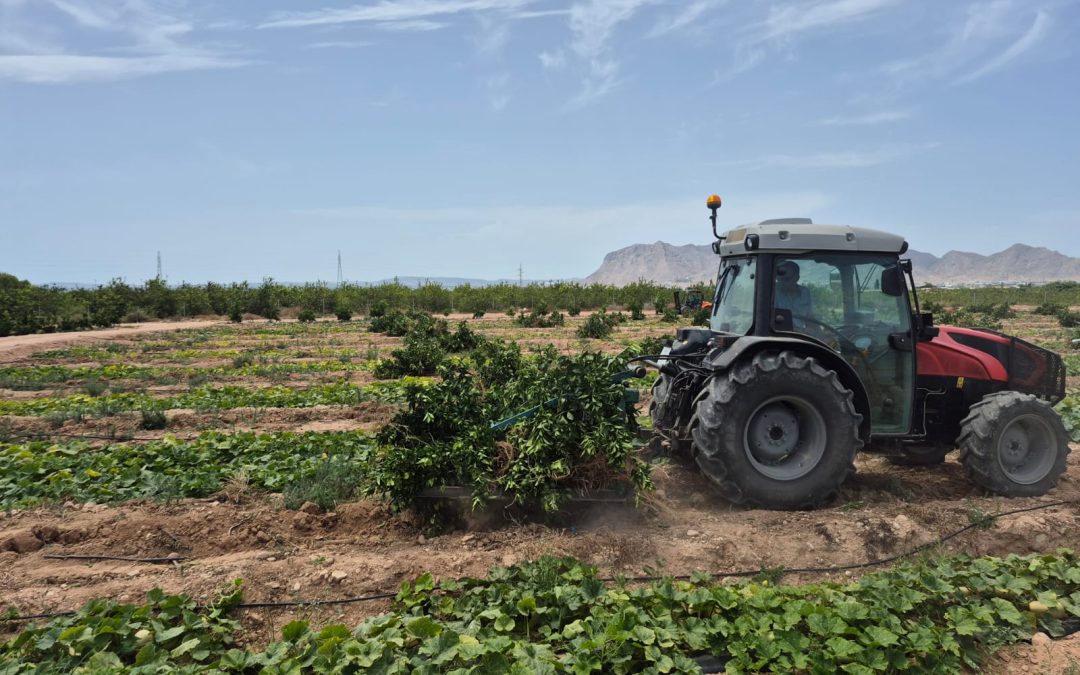 ASAJA Alicante anuncia la ampliación de ayudas por la crisis de Oriente medio para el sector agrario
