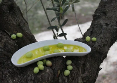 Agricultura Ecológica (100% online)