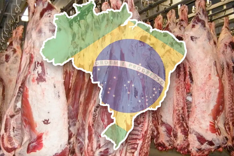 ASAJA considera de máxima gravedad el informe de la Comisión Europea sobre la carne de vacuno de Brasil