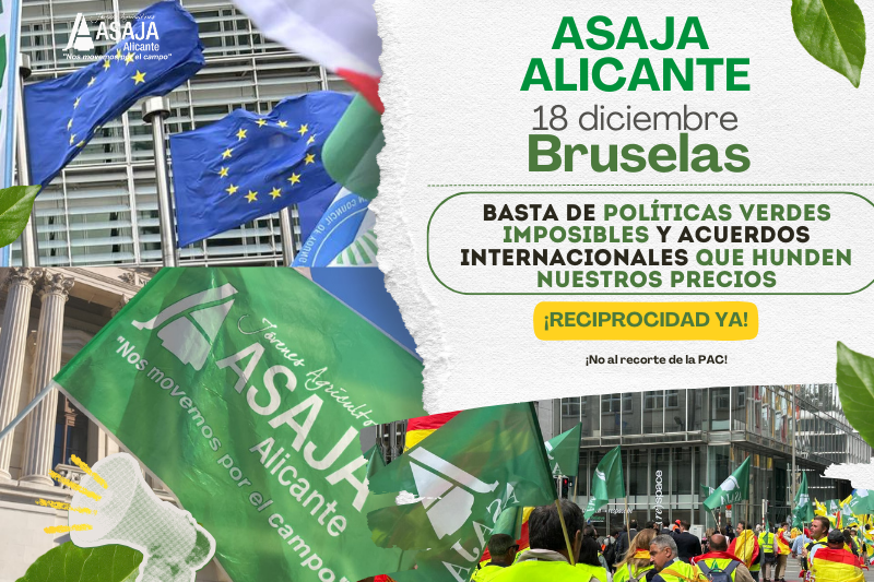 ASAJA Alicante participará en la gran movilización del 18 de diciembre en Bruselas