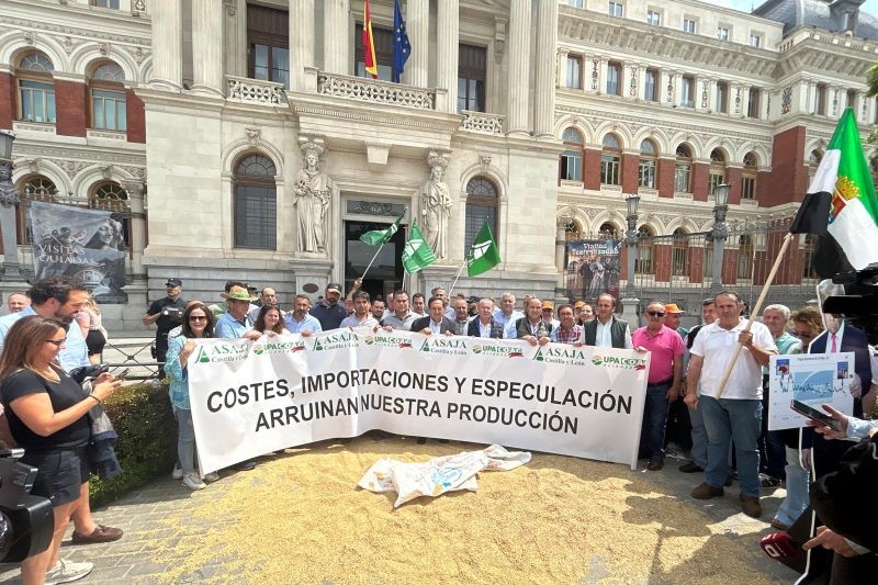 ASAJA advierte que los bajos precios no cubrirán costes a pesar del repunte del cereal alicantino