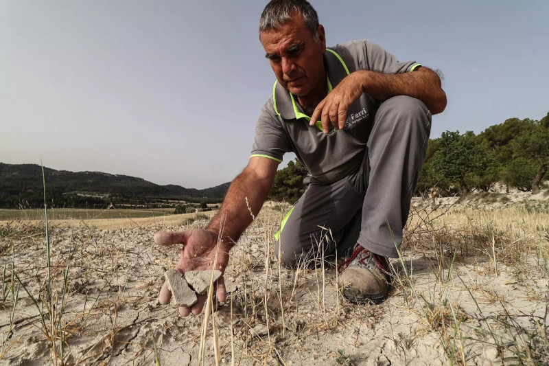 La sequía causa estragos en la agricultura de la provincia con pérdidas de 65 millones de euros