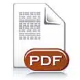 Icono PDF