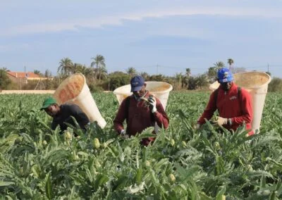 Operaciones Culturales en Agricultura (100% Online)