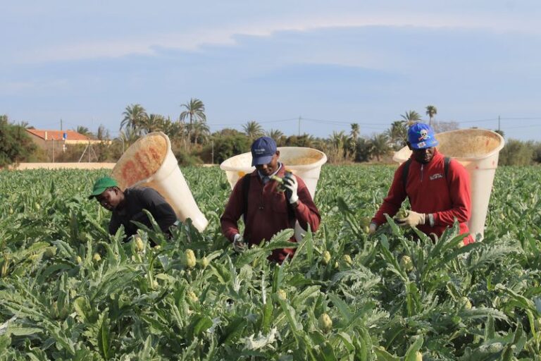 inspecciones trabajadores campo