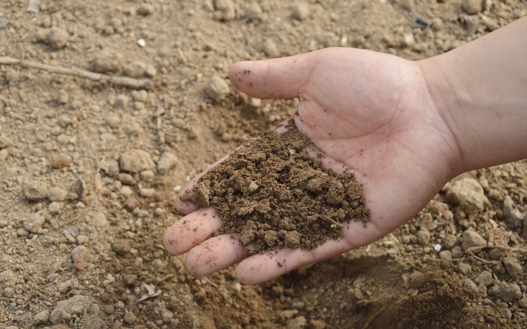 ASAJA Alicante informa: publicado el listado parcial de beneficiarios de las ayudas del FEGA para la compra de fertilizantes