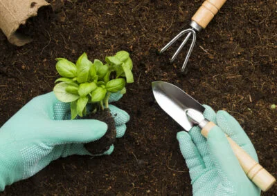 Material Vegetal para Siembra y Plantación en Agricultura (100%)