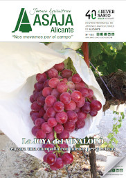 Revista 87