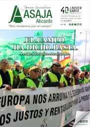 Revista 87