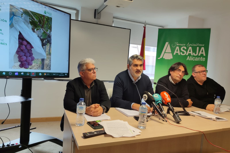 ASAJA Alicante recordará el 2024 por la histórica crisis del limón y una sequía extrema que ha arrasado al secano