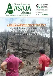 Revista 87
