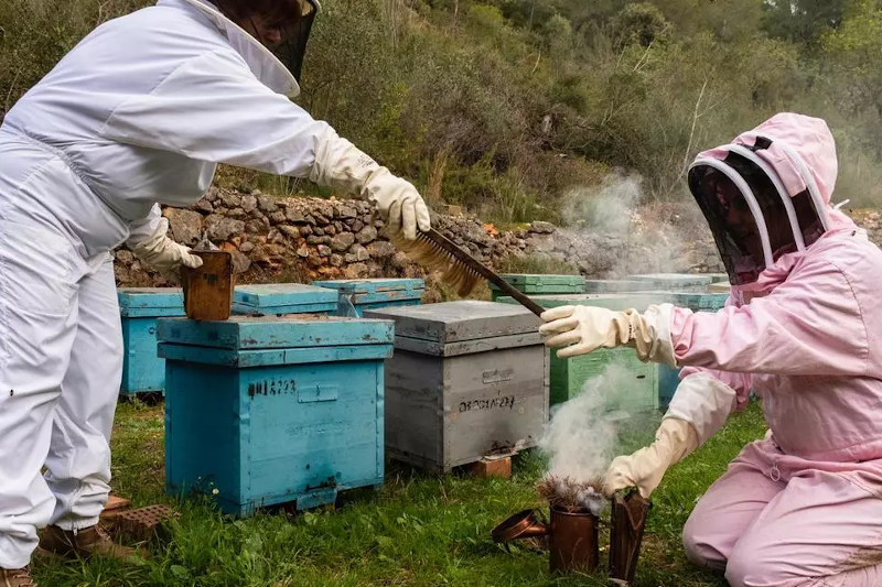 Los apicultores alicantinos exigen al Consell que retire el decreto que los condena al exilio