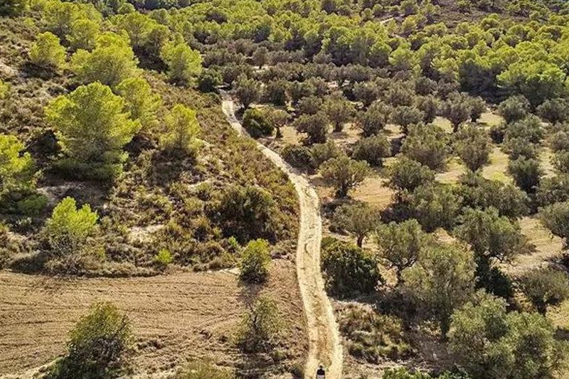DE VERTEDERO A PARQUE NATURAL: 36 AÑOS