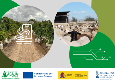 Visita Técnica Agraria (presencial) GRATUITO