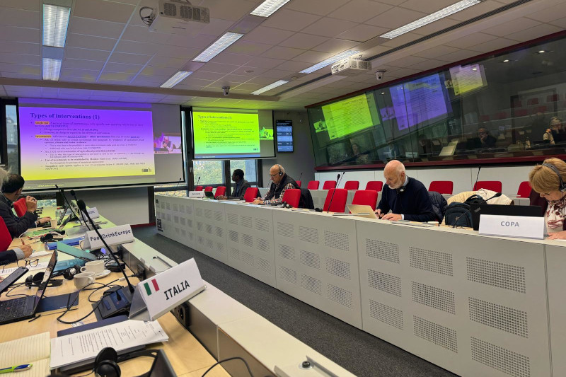 ASAJA denuncia que el nuevo acuerdo UE-Marruecos vulnera el derecho internacional y pone en riesgo la equidad del mercado